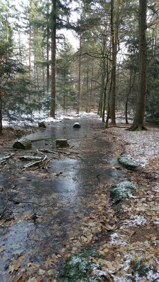 Villa Reewold Veluwe à Putten Extérieur photo