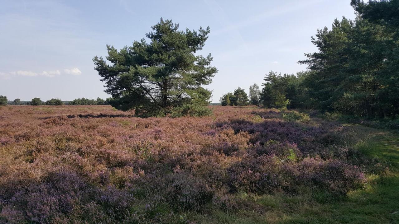 Villa Reewold Veluwe à Putten Extérieur photo