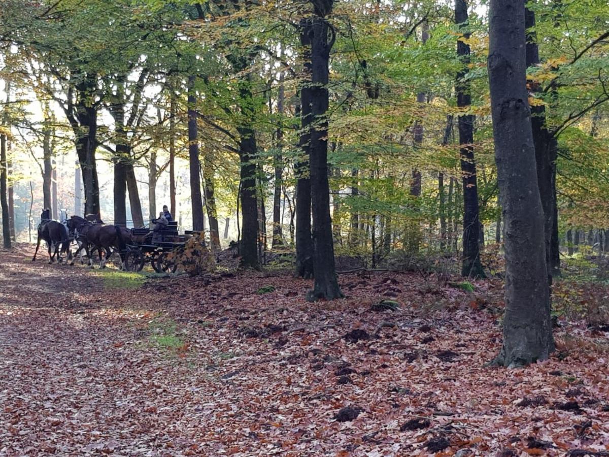 Villa Reewold Veluwe à Putten Extérieur photo