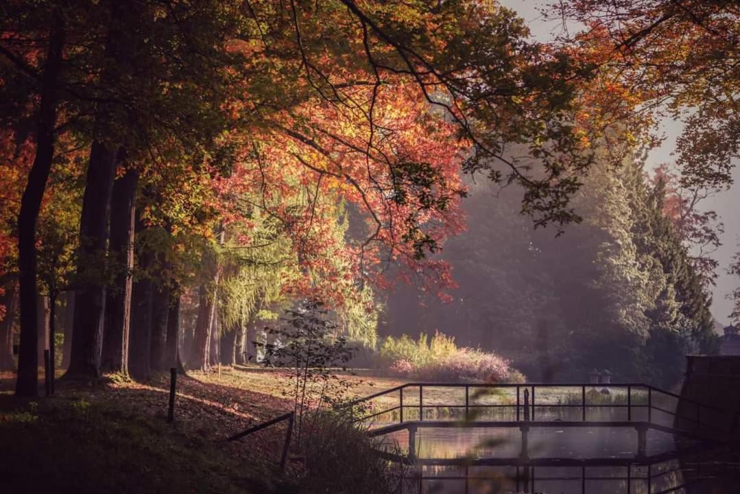 Villa Reewold Veluwe à Putten Extérieur photo